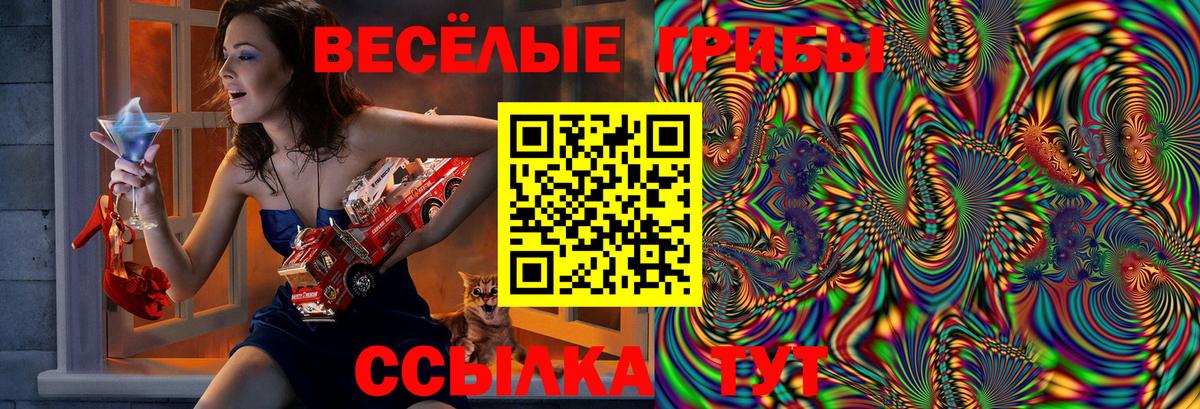 Галлюциногенные грибы Cubensis  Вход с VPN  Еманжелинск 