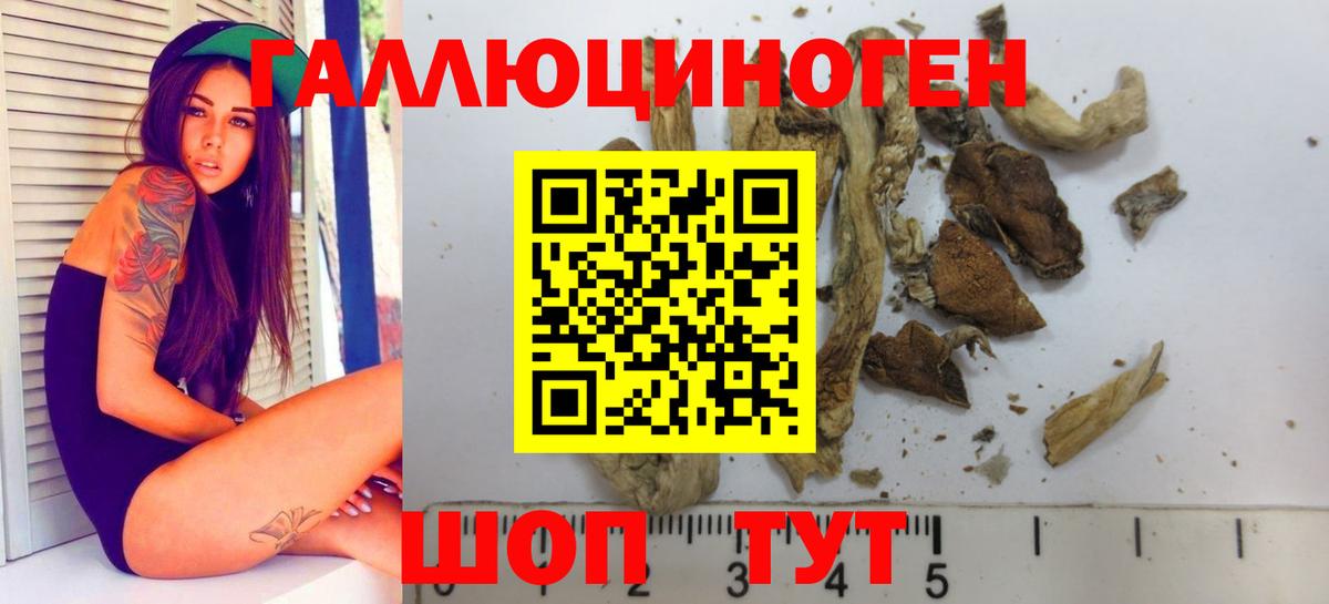 Псилоцибиновые грибы Cubensis Еманжелинск